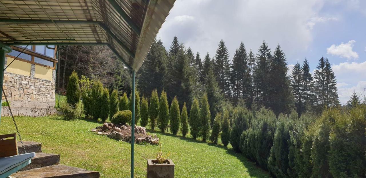 ולאסיץ Green Forest מראה חיצוני תמונה